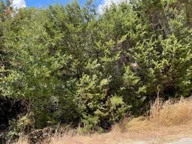 Tract 81 and 92 Bronco Ln, Weatherford, TX 76087 - photo 2