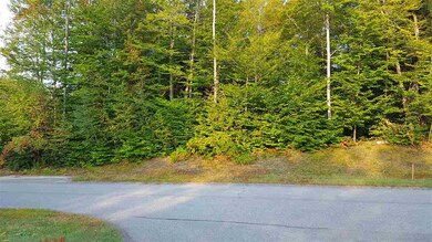 114 Valley View Ln unit 114-48, Lincoln, NH 03251 - photo 3