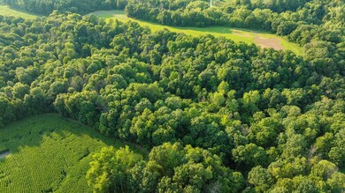 0 420th Ave unit NST6752930, Menomonie, WI 54751 - photo 5