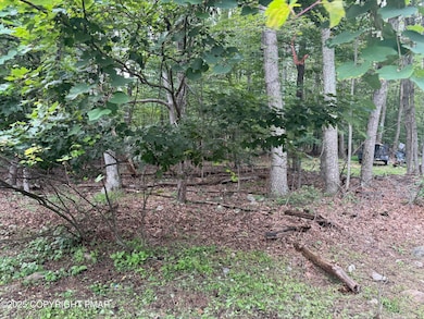 0 Poplar Ln 33 Ln, Kunkletown, PA 18058 - photo 3