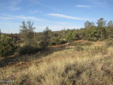 Photo 05