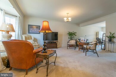 103 Hupps Hill Ct, Strasburg, VA 22657 - photo 7