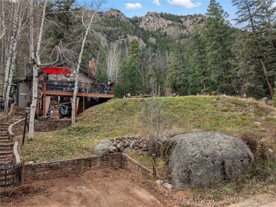 10155 Mountain Rd, Cascade, CO 80809 - photo 3