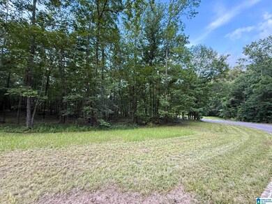 7577 Colonial Trace Cir unit 23, Bessemer, AL 35022 - photo 5