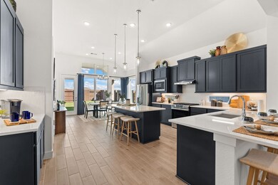 26222 Prairie Delight Place, Hockley, TX 77447 - photo 4