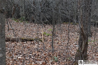 0 Morgan Hollow Rd, Olean, NY 14760 - photo 5