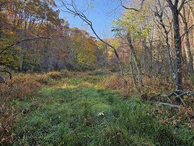 0 Black Oak Rd, Rock, WV 24747 - photo 5