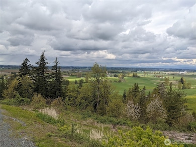 4135 Kamphouse Dr, Sumas, WA 98295 - photo 5