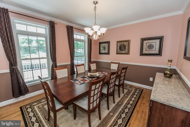 790 Thunder Rd, Front Royal, VA 22630 - photo 6