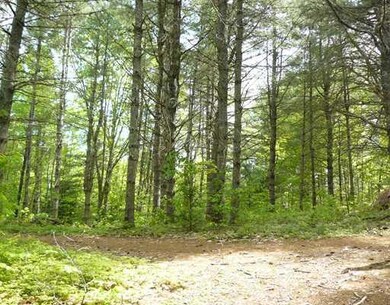 Land. Lovely woods