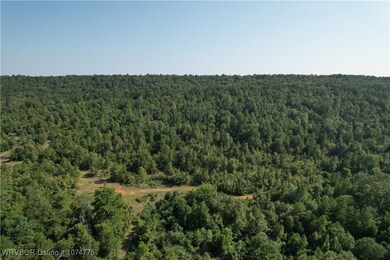 5965 Cox Valley Rd, Magazine, AR 72943 - photo 6