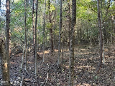 0 Knight Way SE, Winnabow, NC 28479 - photo 6