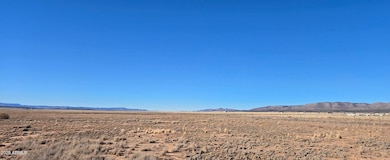 Panoramic View 1
