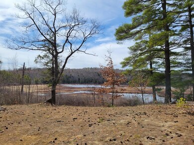 new backyard