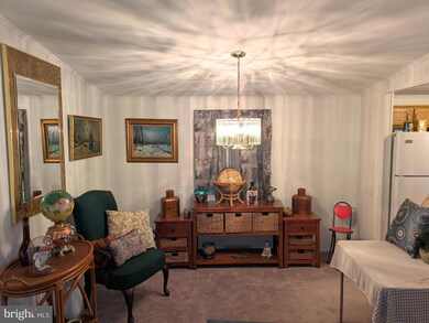 269 Cool Branch Blvd unit 47146, Seaford, DE 19973 - photo 5