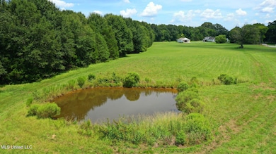 0 Russell Rd, Flora, MS 39071 - photo 2