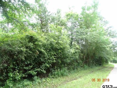 19707 County Road 234, Tyler, TX 75707 - photo 4