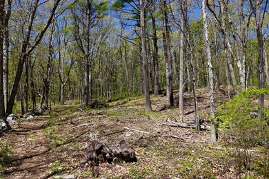 5 Primrose Ln, Cape Neddick, ME 03902 - photo 5