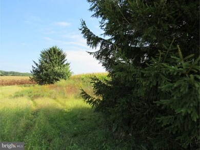 0 Hunter Forge Rd unit 1005361288, Macungie, PA 18041 - photo 5