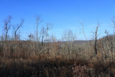 4874 Fox Knob Ln, Cookeville, TN 38506 - photo 2