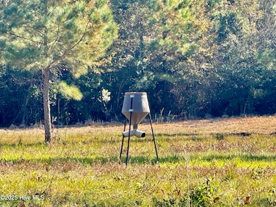 0 Near 4294 James B Wh, Whiteville, NC 28472 - photo 5