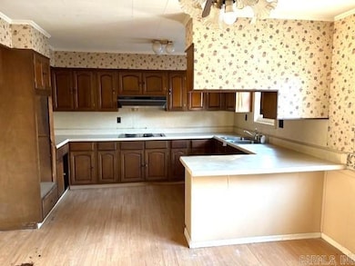 203 E Plum St, Hayti, MO 63851 - photo 3