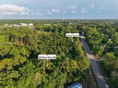 52 Gumtree Rd, Hilton Head Island, SC 29926 - photo 2