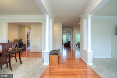 3 Founders Way, Stafford, VA 22554 - photo 6