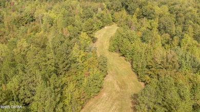 424 Firetower Rd, Camden, TN 38320 - photo 3