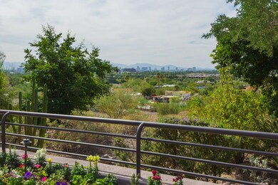 035_Backyard Views