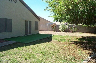 Backyard4