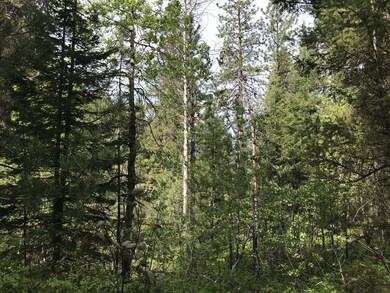 Enjoy The Varied Vegetation