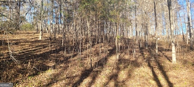 0 Avery Scroggs Rd unit 10649736, Hayesville, NC 28904 - photo 4