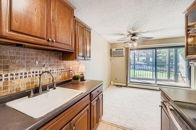 3461 Kent St unit 1002, Shoreview, MN 55126 - photo 2