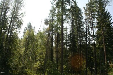 Large Trees