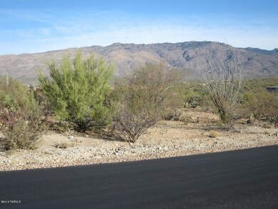 Looking North from South side of lot