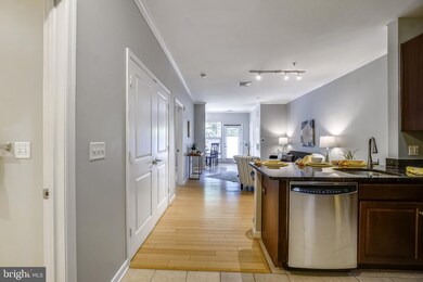 8045 Newell St unit 123, Silver Spring, MD 20910 - photo 3