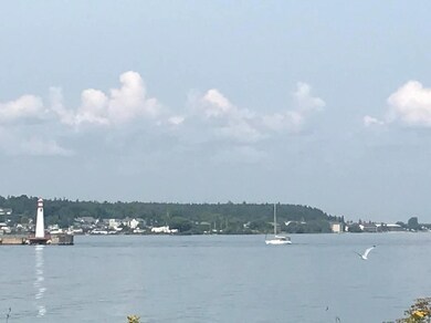 Lake Huron-Moran Bay