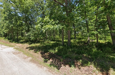 0 Apache Dr, Irondale, MO 63648 - photo 3