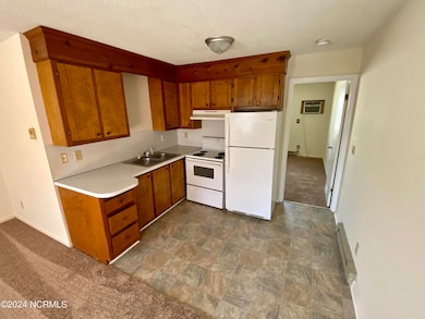 2903 E 5th St unit 21, Greenville, NC 27858 - photo 3