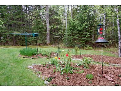 Yard/Garden.