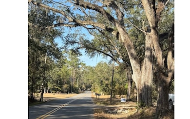 8694 93rd Rd, Live Oak, FL 32060 - photo 5