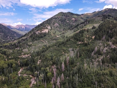 0 Tbd County Road 124, Hesperus, CO 81326 - photo 2