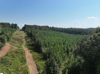 205 Sawney Creek Rd, Calhoun Falls, SC 29628 - photo 3