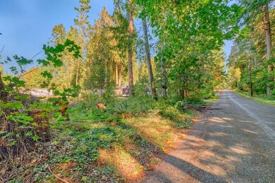 Lot 5 Apa Rd, Point Roberts, WA 98281 - photo 3