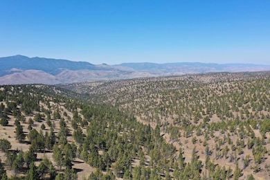 0 Tl 2400 Wiley Creek Rd, Mount Vernon, OR 97865 - photo 5