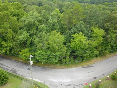 DJI_0011