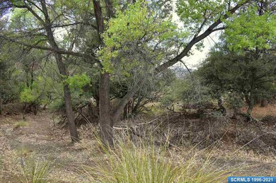 XX Shadow Mountain Rd, Silver City, NM 88061 - photo 6