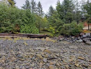L14 Shoemaker Loop Rd, Wrangell, AK 99929 - photo 3