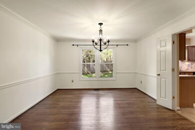 509 Maestro Terrace, Silver Spring, MD 20901 - photo 6